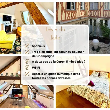 Jade - Plein Centre & Wi-fi Apartment Troyes
